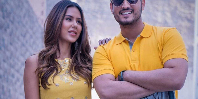 A New Project “Rang” Starrer Sonam Bajwa & Gurnam Bhullar Got Canceled!