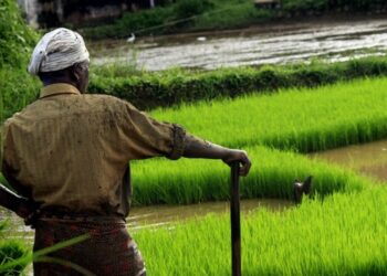 Several Pollywood Celebrities Like DIljit, Gurnam, Ammy Come Forward To Support Farmers In Their Protest!