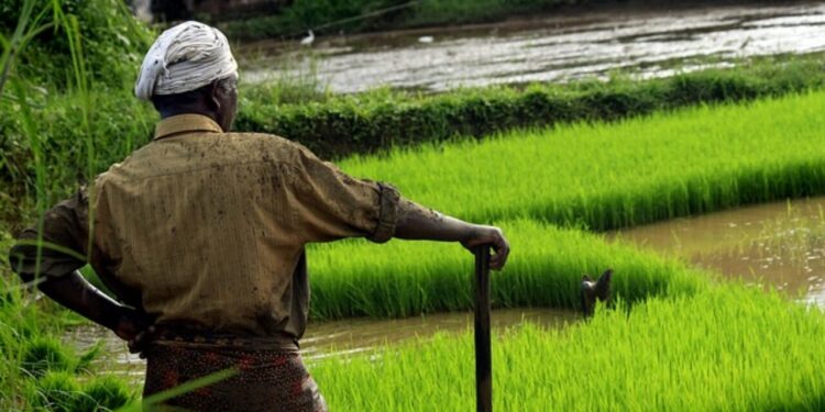 Several Pollywood Celebrities Like DIljit, Gurnam, Ammy Come Forward To Support Farmers In Their Protest!