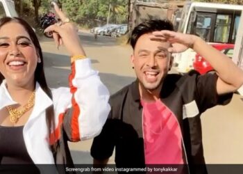 Are Afsana Khan & Tony Kakkar Collaborating for a Project?