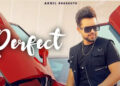 Famous Punjabi Singer Akhil Shared the Poster of His Next Song Titled “Perfect”