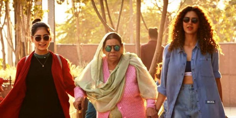 Newly Added Punjabi Movies to Watch on Netflix