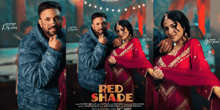 Red Shade by Dilpreet Dhillon