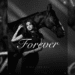 Forever by Nimrat Khaira
